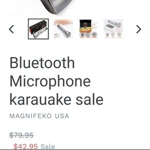 Karaoke microphone
